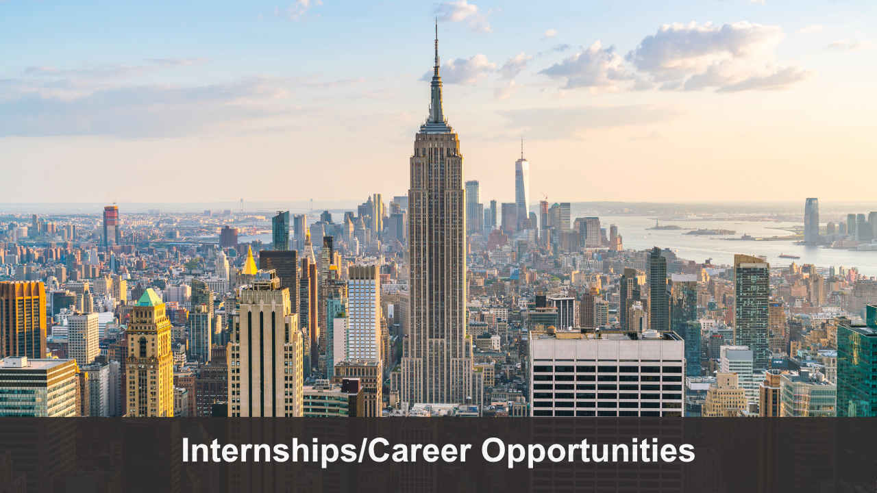 Internships/Career Opportunities 